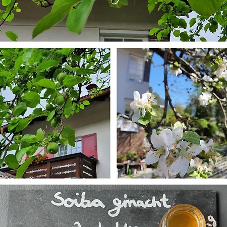 Gaestehaus Alpenkranz Bed and breakfast 3*