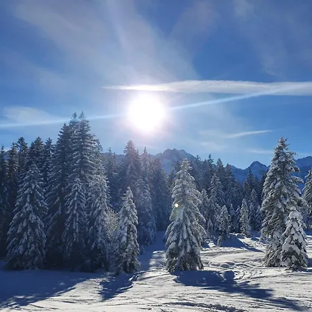 Bed and breakfast Gaestehaus Alpenkranz Garmisch-Partenkirchen