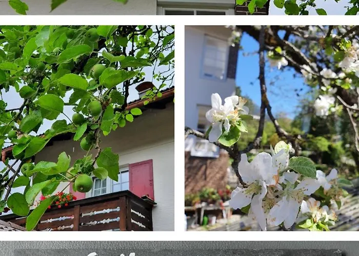 Gaestehaus Alpenkranz Nocleg ze śniadaniem 3*