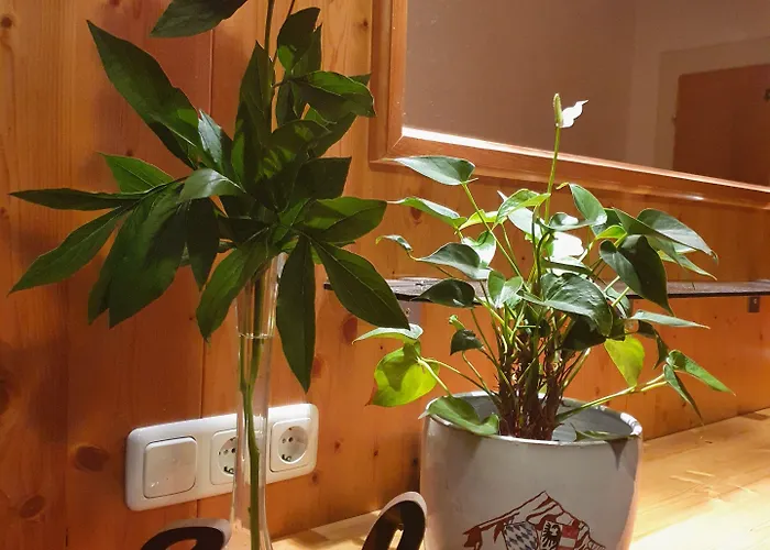 Gaestehaus Alpenkranz Nocleg ze śniadaniem 3*