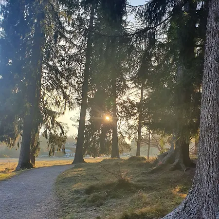 Alpenkranz