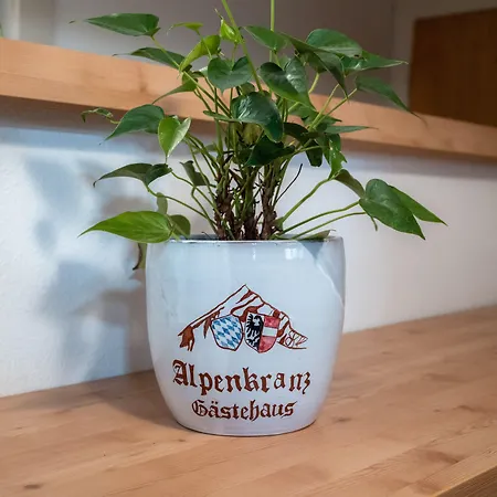 Gaestehaus Alpenkranz 3* 加爾米施-帕滕基興